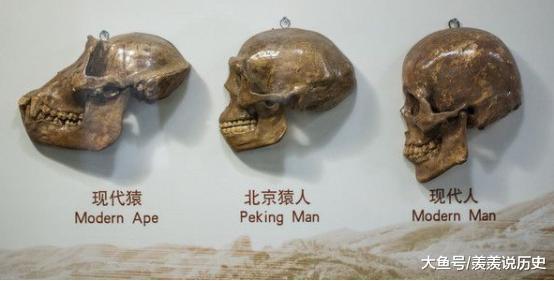 【外星人】人类进化的尽头或已经“不是人”, 你敢接受这样的事实吗?