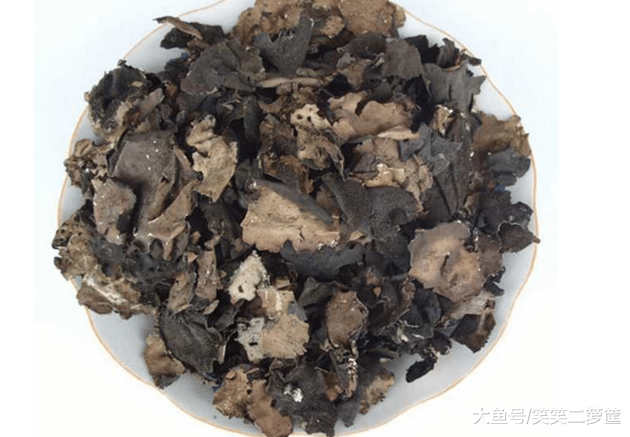 各种花卉之间有什么联系？你知道吗？