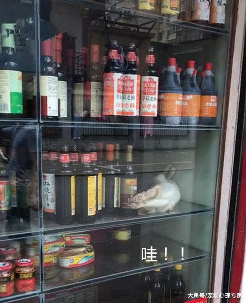 美女去小超市买东西，瞅了眼橱窗走不动路：难道这就是镇店之宝