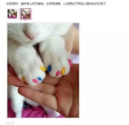 请恕我孤陋寡闻，直到今天我才知道竟然有人去给猫咪做去爪手术