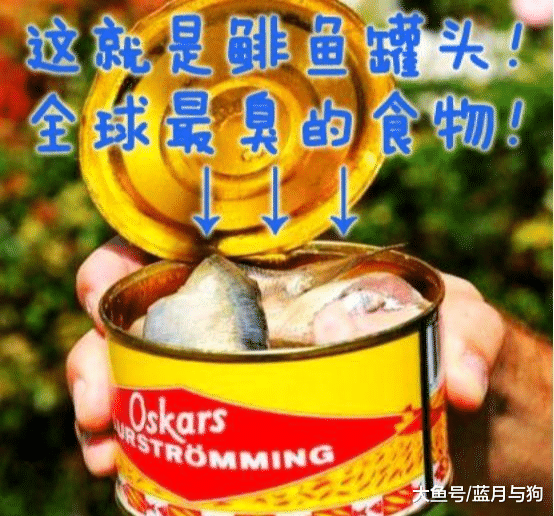 荷兰的黄金世纪，势力有多大？是纽约城最早的开发商