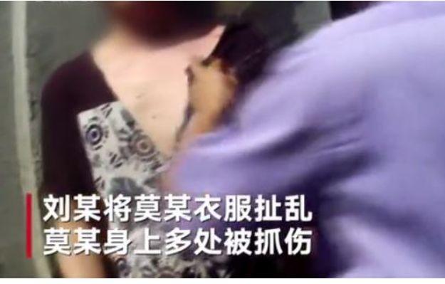 宠物狗未带牵引绳被司机撞死，主人：你得偿命！