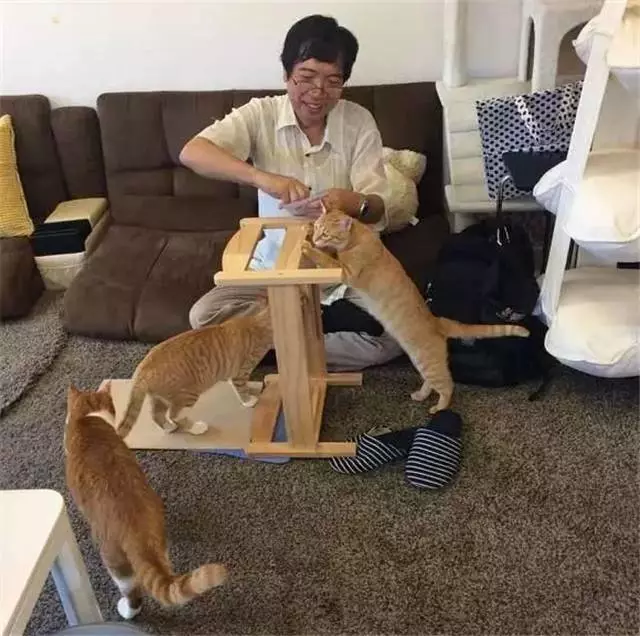 收养流浪猫后，店里生意越来越好，猫咪们各司其职认真工作