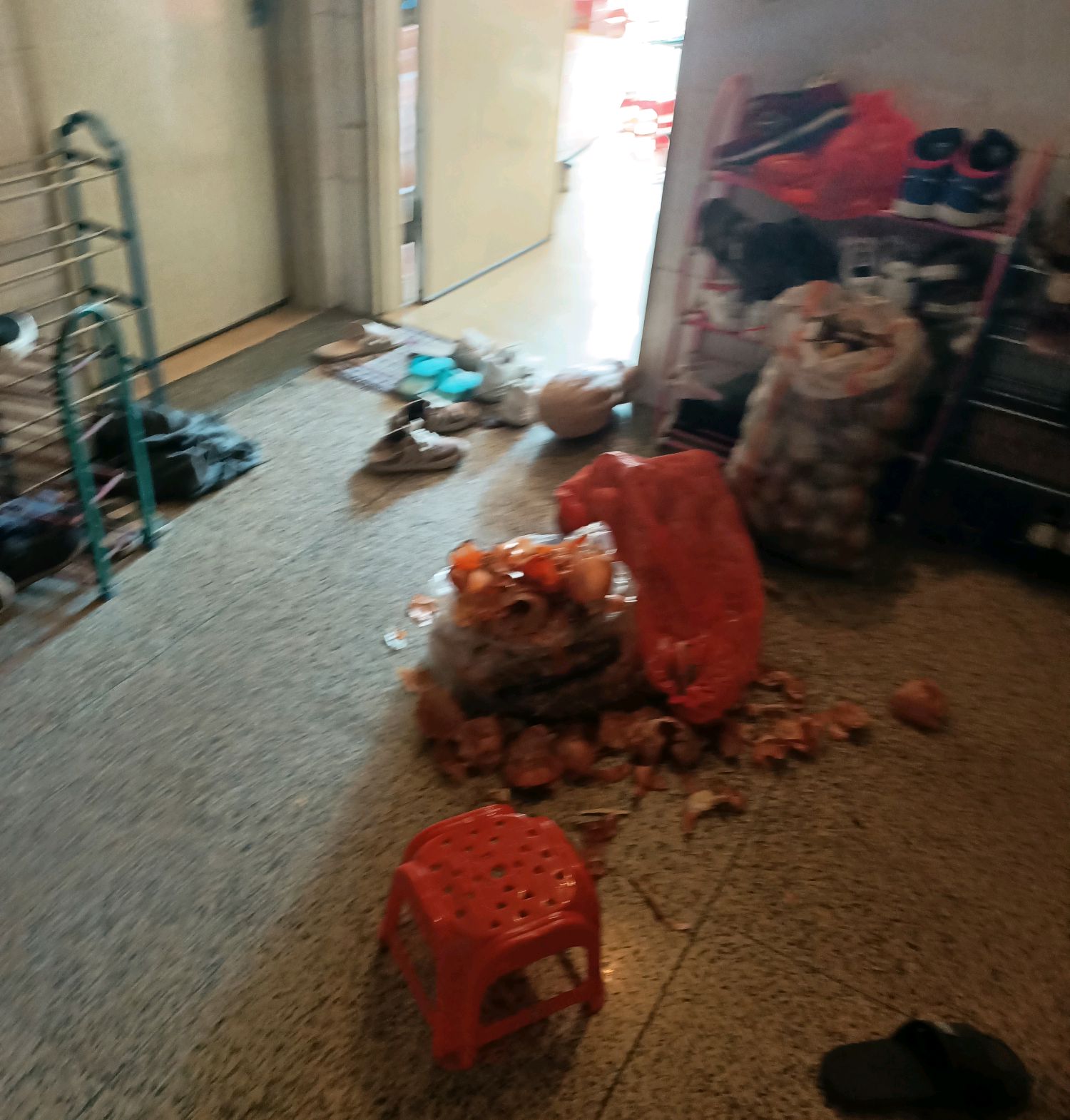 在深圳租房子，邻居在租房里卖菜，邻居：一个月省几千块铺面租金