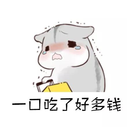 你就算买得起猫狗主食冻干粮，或许你的喂法和选择方法都是错的