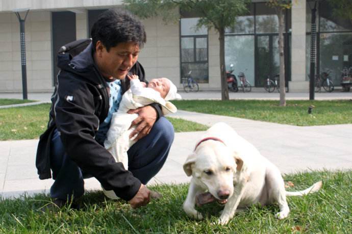 女主把孩子哄睡去大街了，再聽話的狗狗也不能單獨和幼兒在一起