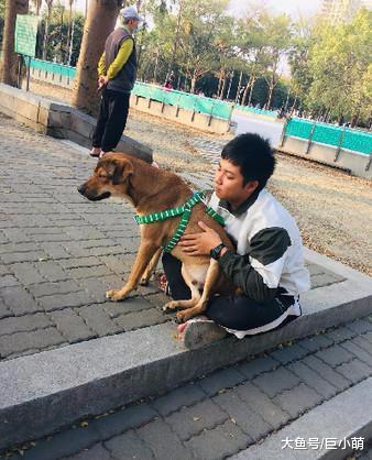 冰箱里的食物经常失踪，听见怪声开门发现，原来是一人一狗在偷吃