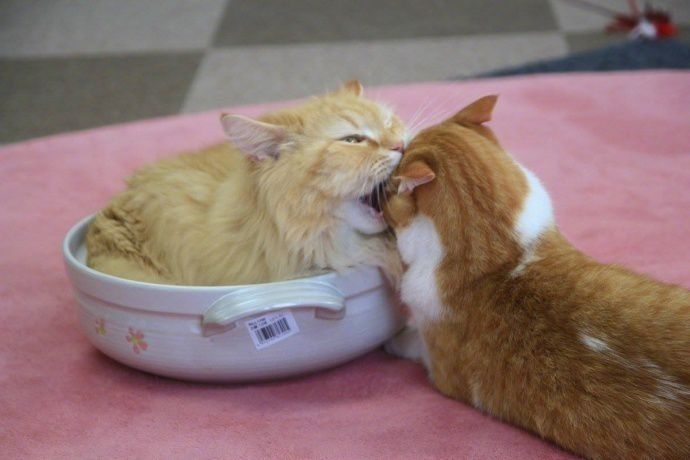 放假在家的你和打扫卫生的你妈？