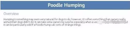 泰迪为啥要日天日地日万物，背后的原因却让人心酸...