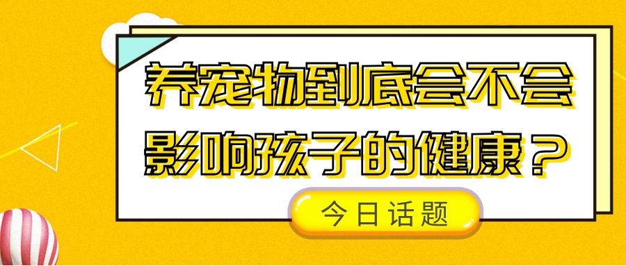 猫咪不和铲屎官一块玩，看铲屎官拿逗猫棒的样子，就像是看傻子