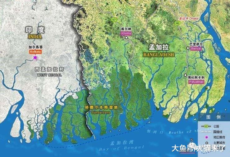 海洋如何影响老虎？因海平面上升地球最大老虎栖息地50年后或无虎