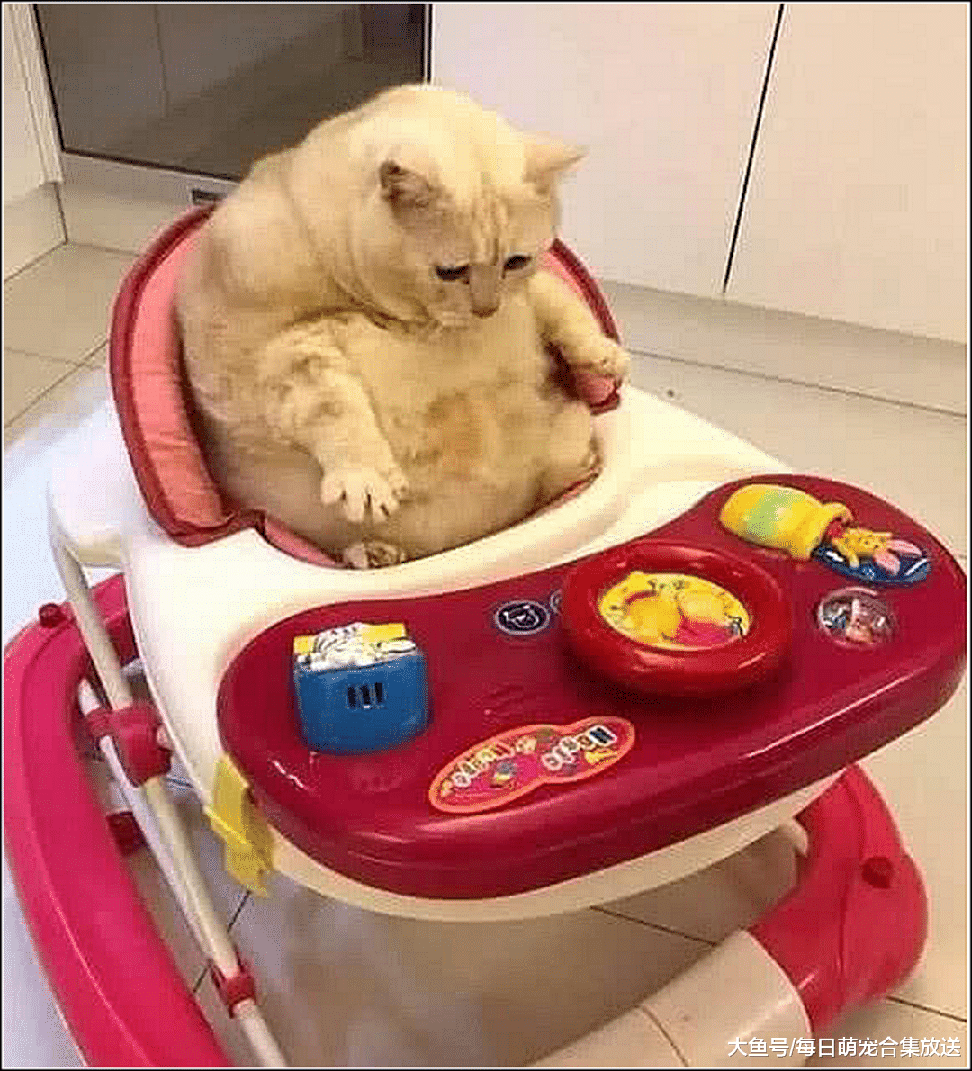 孩子哭着找妈妈，说车车被人抢走了，母亲走近一看不淡定了