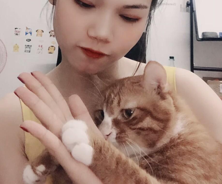 铲屎官十个有九个都这么做，养猫小怪癖，你中招了吗