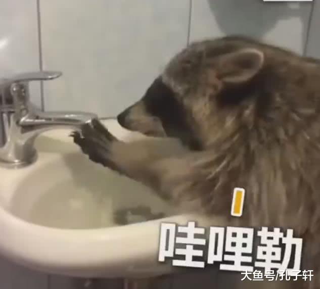 “完了！闯大祸了！” 小浣熊洗手不会关水龙头，水满了掉头就跑