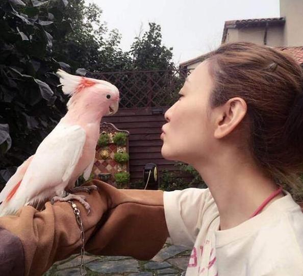 晒晒李小冉住的豪宅，平时不用出门锻炼身体，家里花园比公园都大