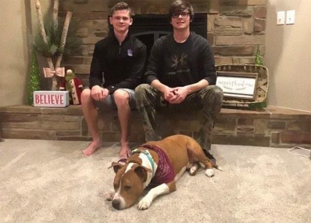 爱犬在家中被人偷走，15名志愿者自发形成接力队伍……送它回家！