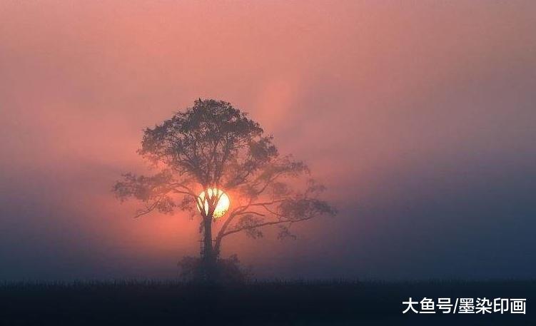雾景的拍摄技巧，如何拍摄好“飘渺仙境”的雾天