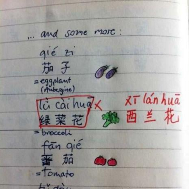 老外的中文试卷笑抽无数中国人, 遭国人吐槽, 网友: 心中平衡了!