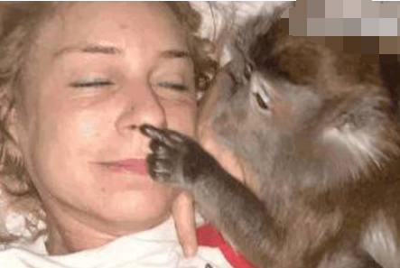 美国女子养了18年的猴子，现在越来越臭美，已经把自己当成人！