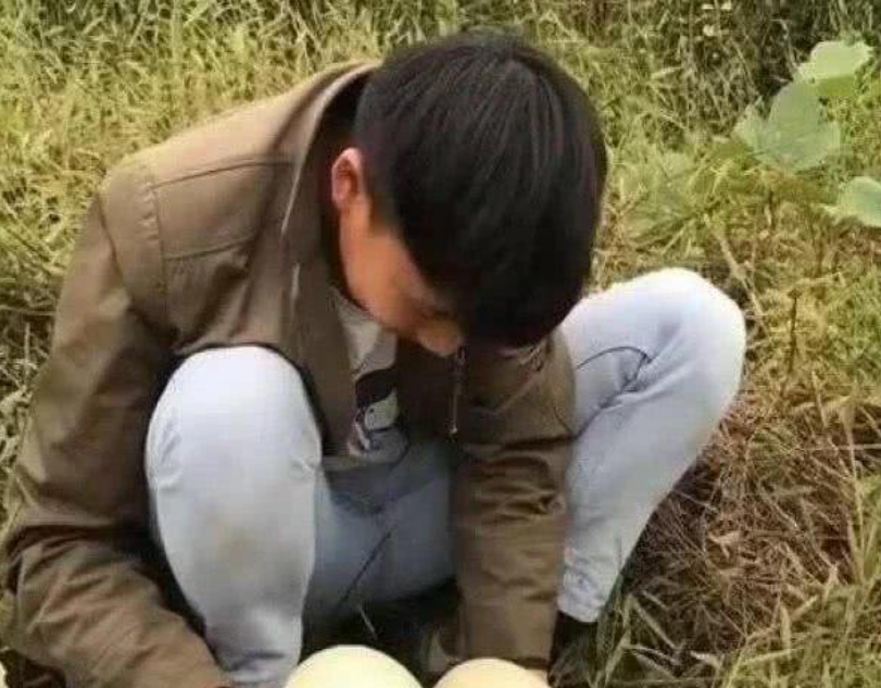 男子野外捡到重3斤巨蛋，好奇想煮熟吃，打开后立马报警