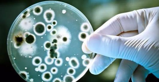 装修除甲醛治理药剂名目繁多，相关人士提醒请找正规军!