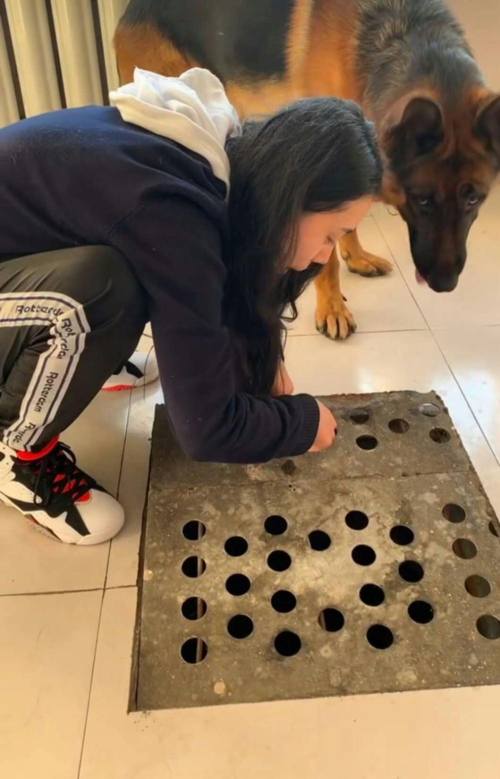 女主人发现个地窖, 想靠近却被爱犬死死拖住, 知道原因后令人感动
