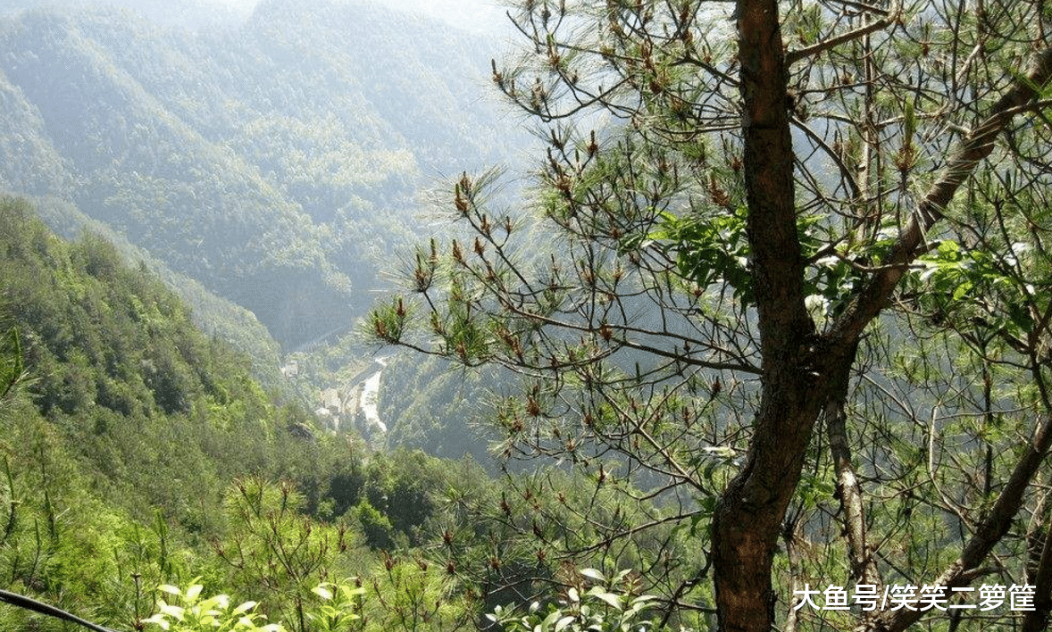 一大陶鍋的肉菜很快見底，我吃得滿嘴油光腹肚飽飽