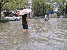 一天二十四小时都在为家人操心，其实每条狗狗都想拥有这样幸福的忙碌！