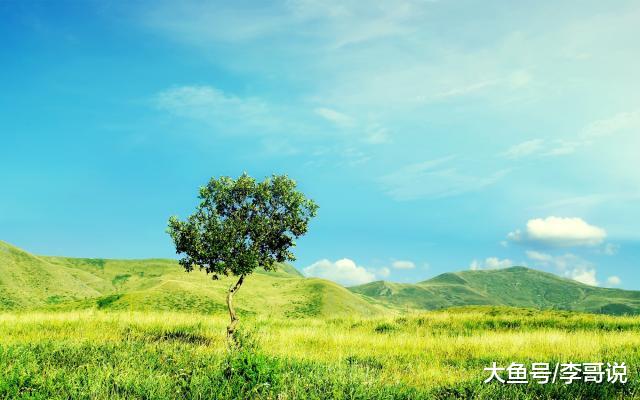 真诚，才是最贵的人品！