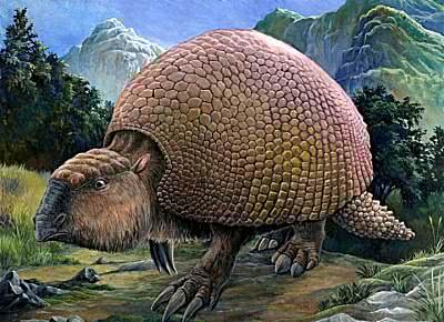 生活在南美的装甲巨兽，重达两吨没有天敌，灭绝原因让人哭笑不得