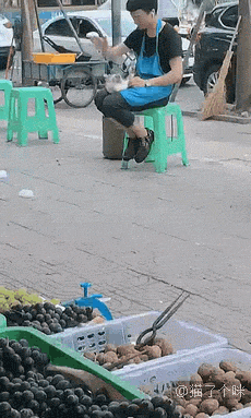 我家猫咪每天和电视争抢收视率