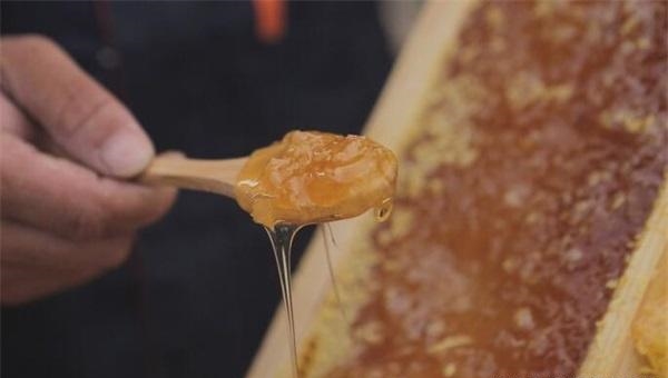 蜂蜜的活性酶是什么样？蜂蜜活性酶都有什么？