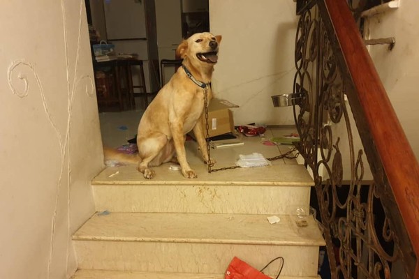 外面吃饭，突然收到老爸发来的照片，下一秒立马垮脸