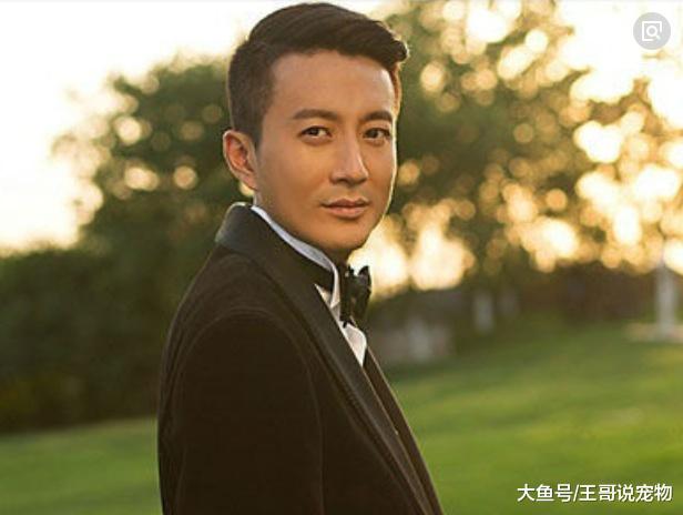 8岁参演了《西游记》，今身价过亿总裁，妻子因《甄嬛传》而走红