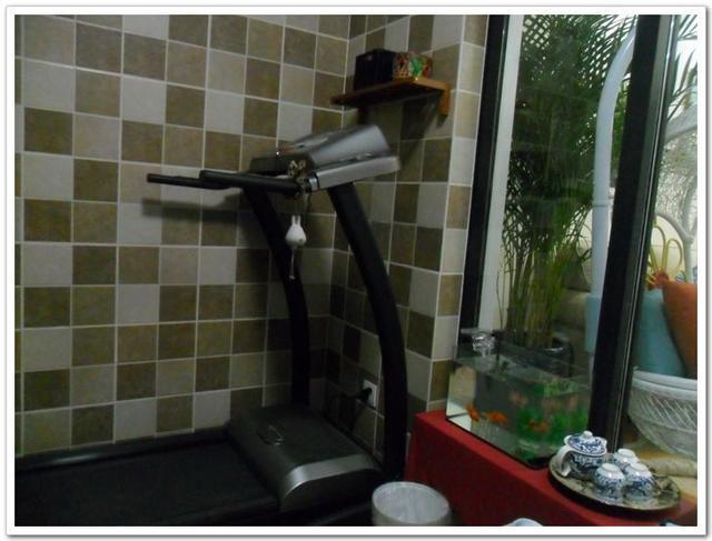 我的家入住啦~海量毕业照, 软装布置太用心, 阳台美得让朋友眼红