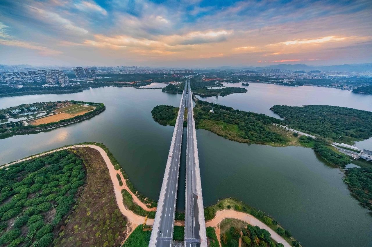 他在这里找到了归属感，从此在深圳风生水起