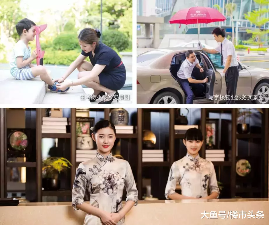 时隔半年，深圳再次拍地！这一次，光明将改变深圳楼市格局！