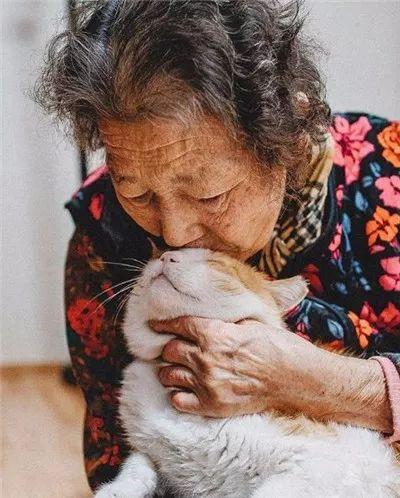 被奶奶带大的橘猫, 就是和别人家的不一样哈