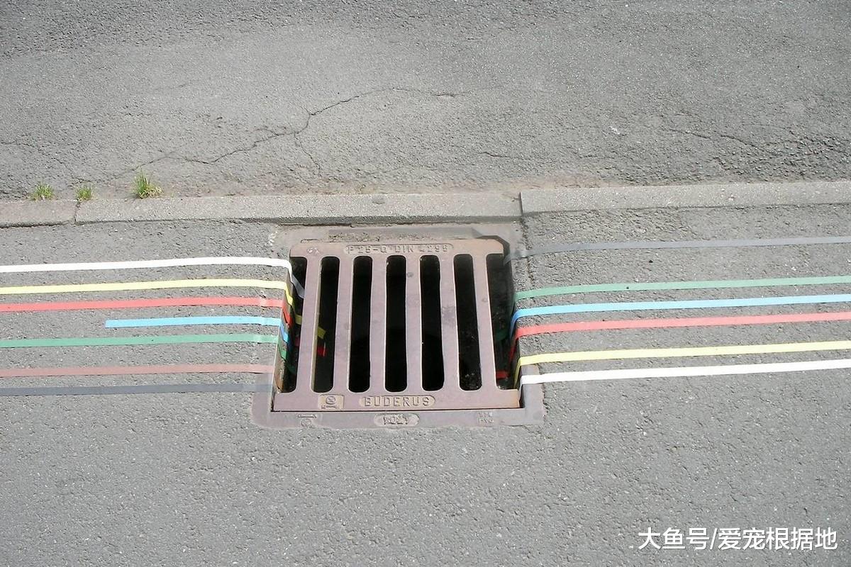 小奶猫雨天被困下水道，越钻越深，小伙不嫌脏爬进管道将其救出