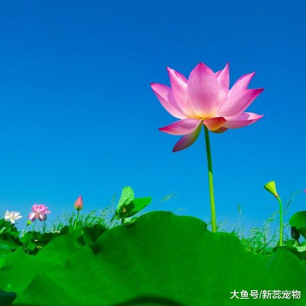 好运事事顺！3个生肖，10月上旬，财源滚滚，吉兆入命