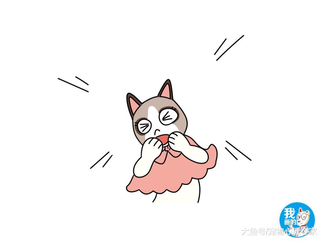 子非鱼焉知鱼之乐，猫咖里那些看起来光鲜亮丽的猫咪快乐吗？