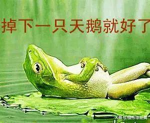 新年愿望就这么实现了? 他的名下突然多出一套房...