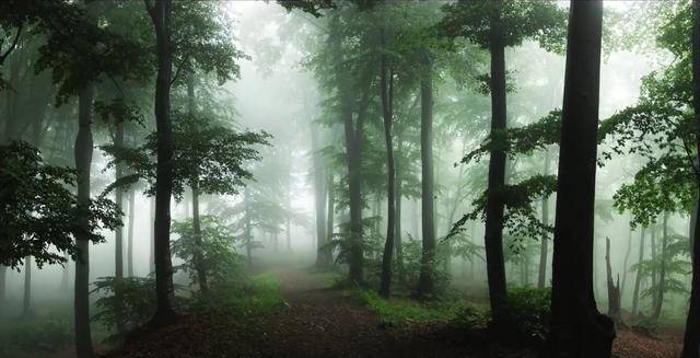 25个实用风光摄影技巧，拍出不一样的风景大片!