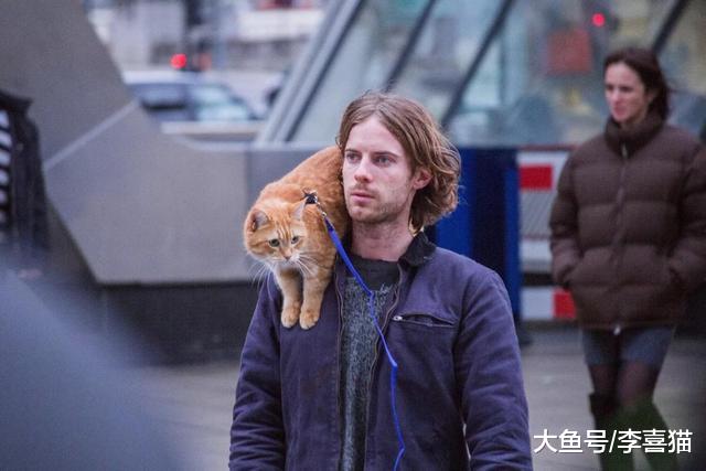 铲屎官路遇流浪小猫后欲收养，幸运学会三点方法后顺利将猫拐回家