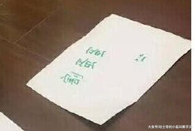 用猫薄荷诱骗猫咪割蛋蛋，这主人太坑了，心疼猫咪一分钟