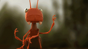 小蚂蚁合力抵抗堵塞