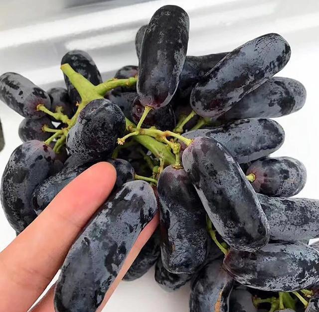 国内最“甜”的水果，比石油还贵，种2棵一年四季结果吃不完