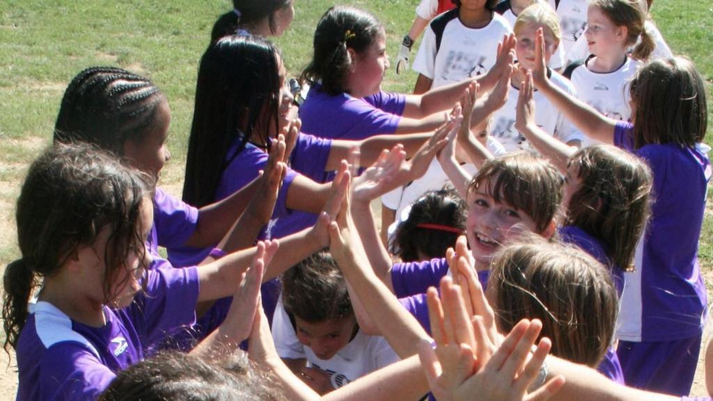 发展原理：心理学理论，基本方法