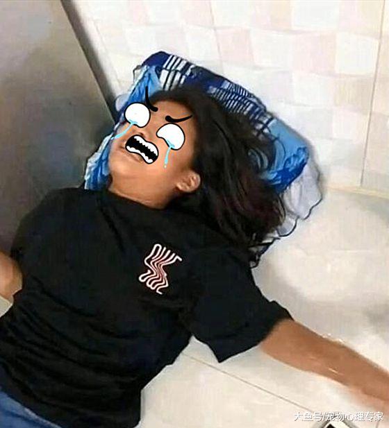 仓鼠无故去世，妹子哭得一把鼻涕一把泪，瞅了一旁直言破案了