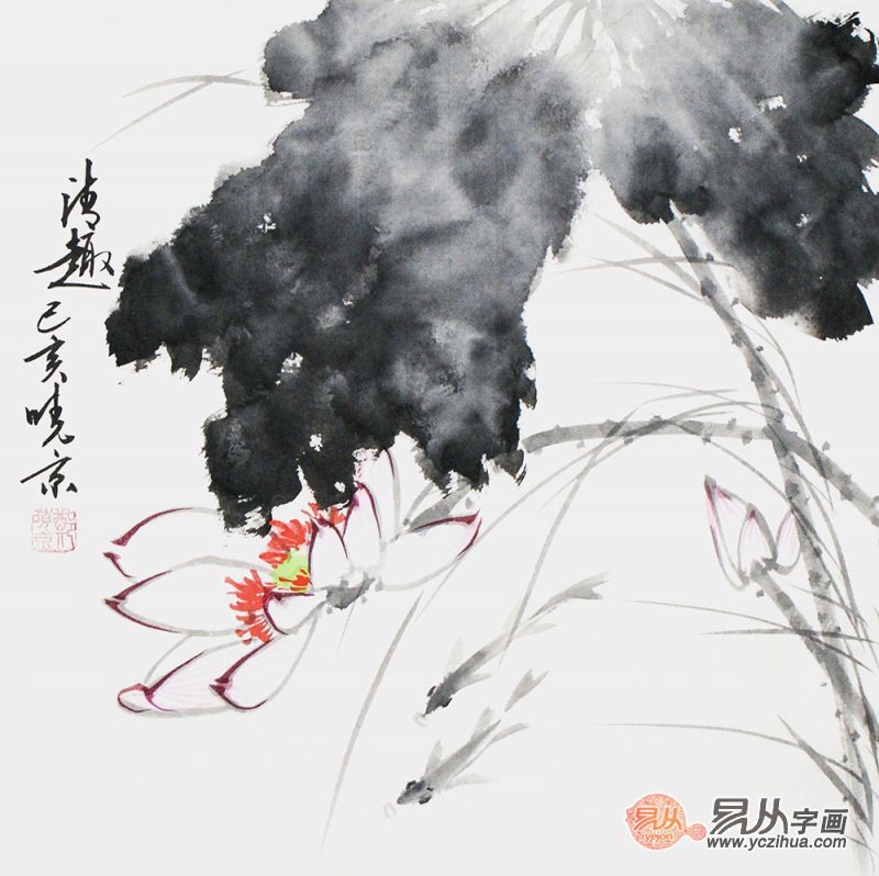 书房挂画有讲究，高雅书房必备花鸟画 郑晓京老师作品